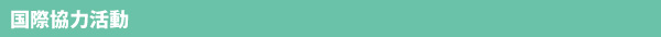 国際協力委員会
